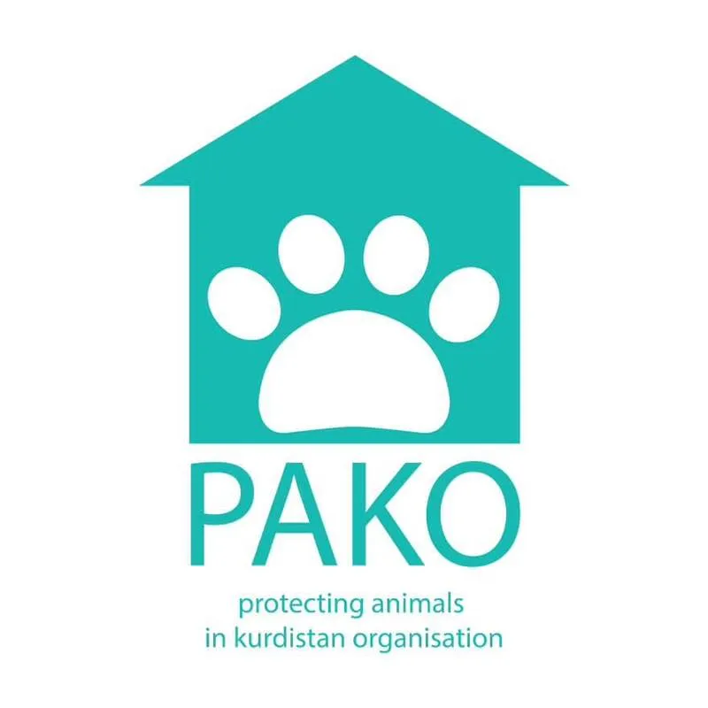 Logo of /_next/static/media/pako-logo.dbafe5ba.webp